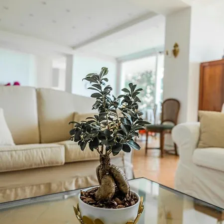 Lilia بيت للعطل Vietri